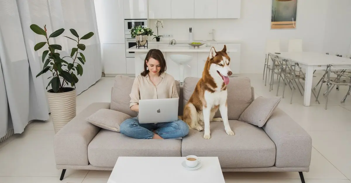 How to Create a Pet-Friendly Home Office Space