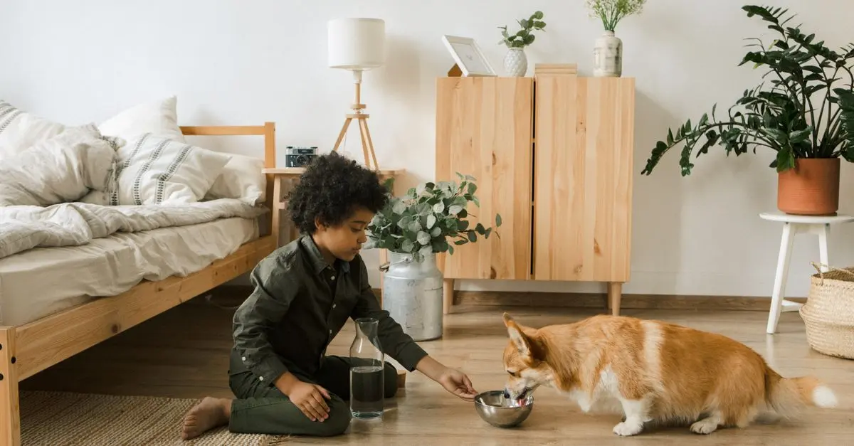 How to Create an Eco-Friendly Pet Care Routine