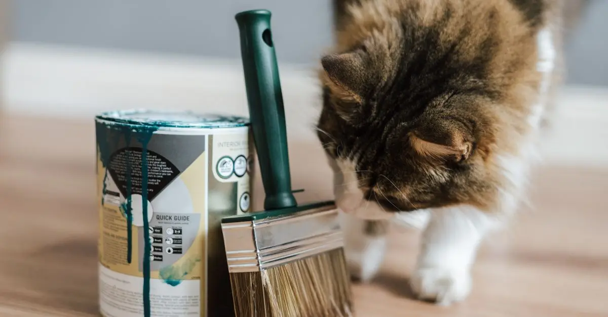 How to Choose the Best Pet-Friendly Paint for Your Home