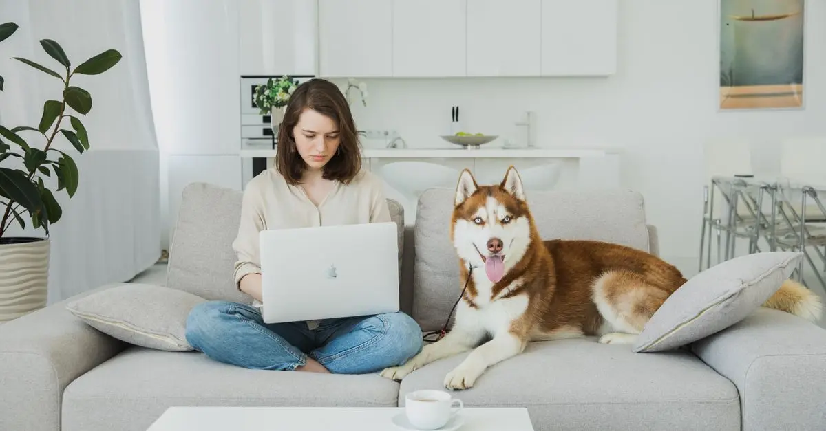5 Creative Ways to Make Your Home More Pet-Friendly