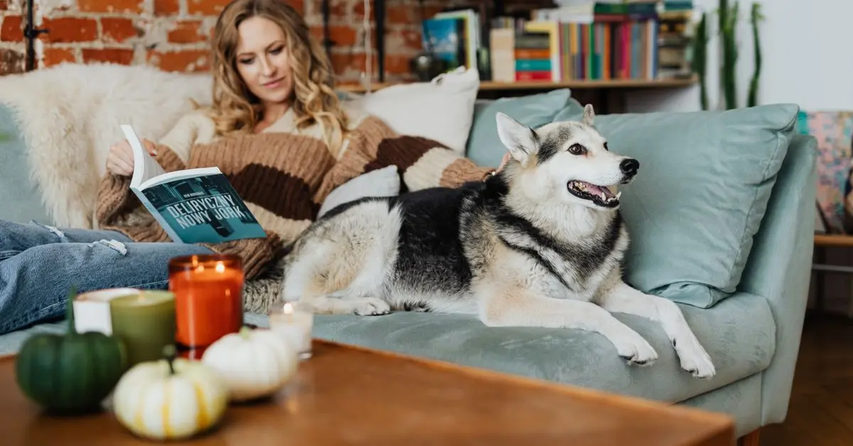 Essential Tips for Pet-Friendly Home Décor
