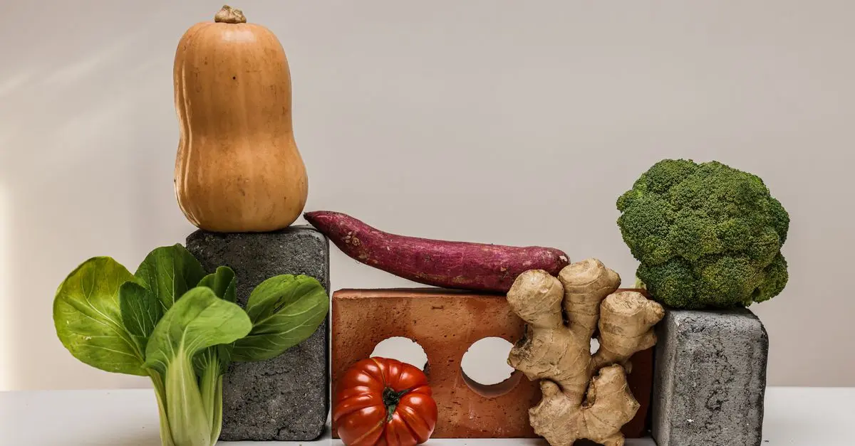 Pet Nutrition: What Foods Can Dogs Eat?
