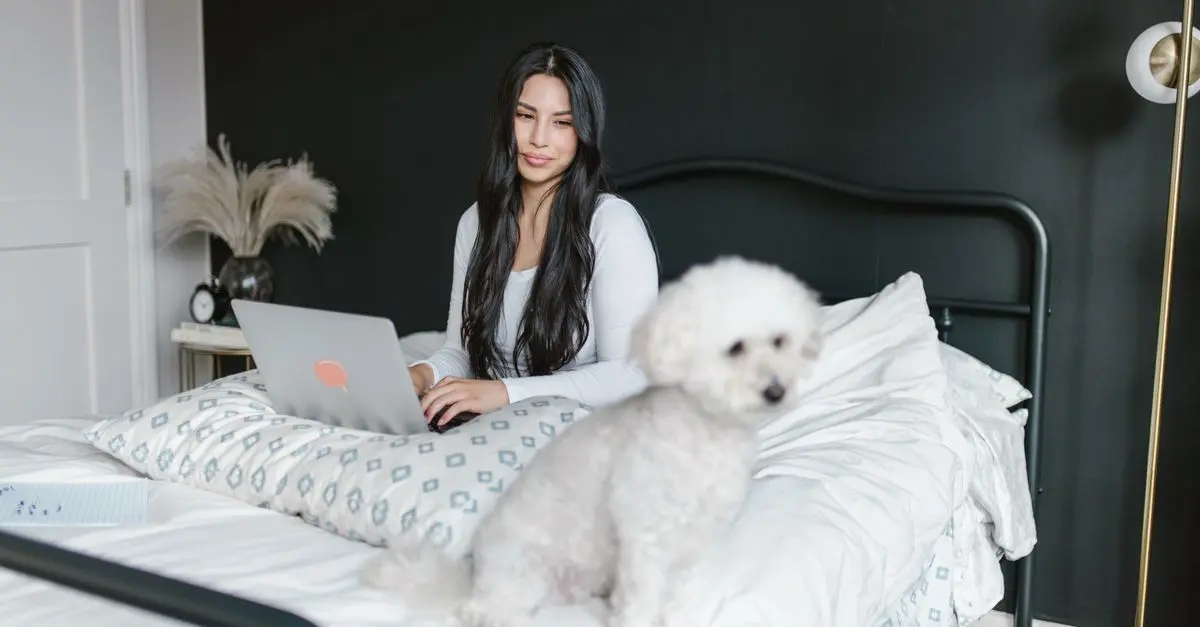 Top Tips for a Pet-Friendly Home Office Space