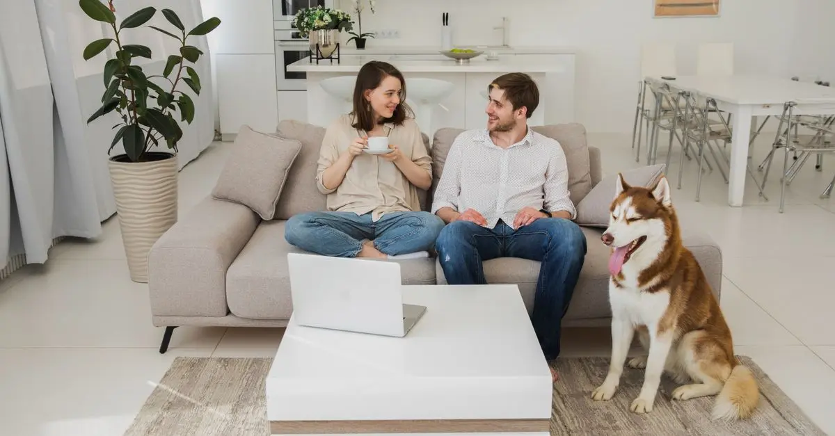 10 Essential Tips for Pet-Friendly Home Design