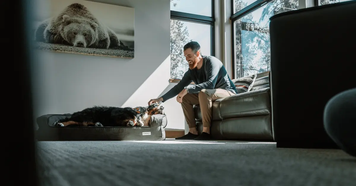 10 Essential Tips for Creating a Pet-Friendly Home Environment