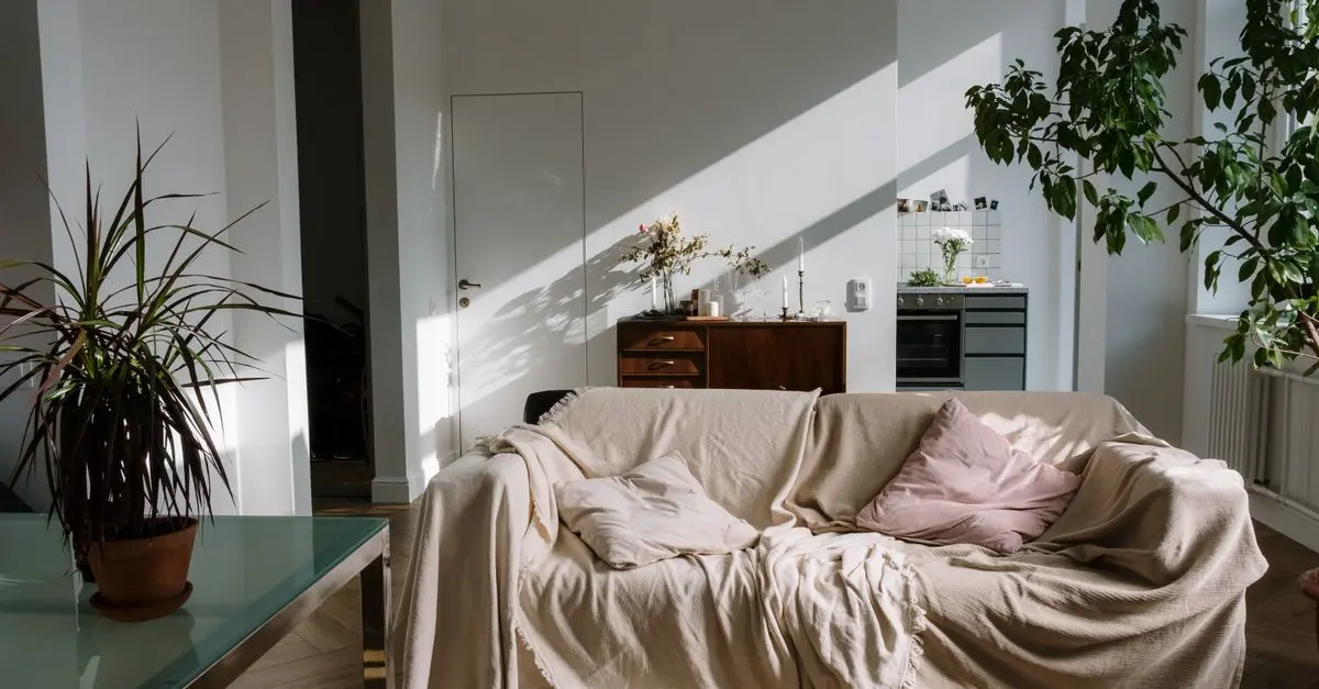 Essential Tips for a Happy Pet-Friendly Household