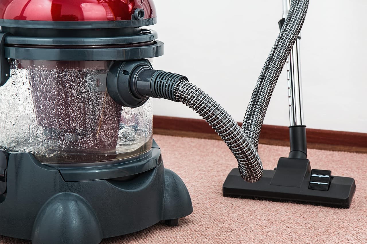 How to Choose the Best Pet-Friendly Cleaning Products