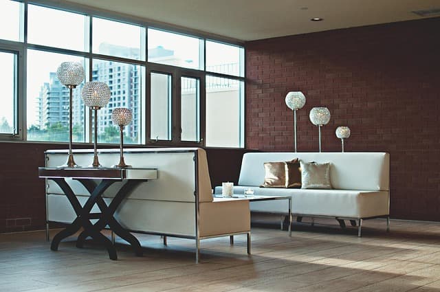 Essential Tips for Stylish Pet-Friendly Home Decor