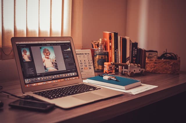 How to Create a Pet-Friendly Home Office