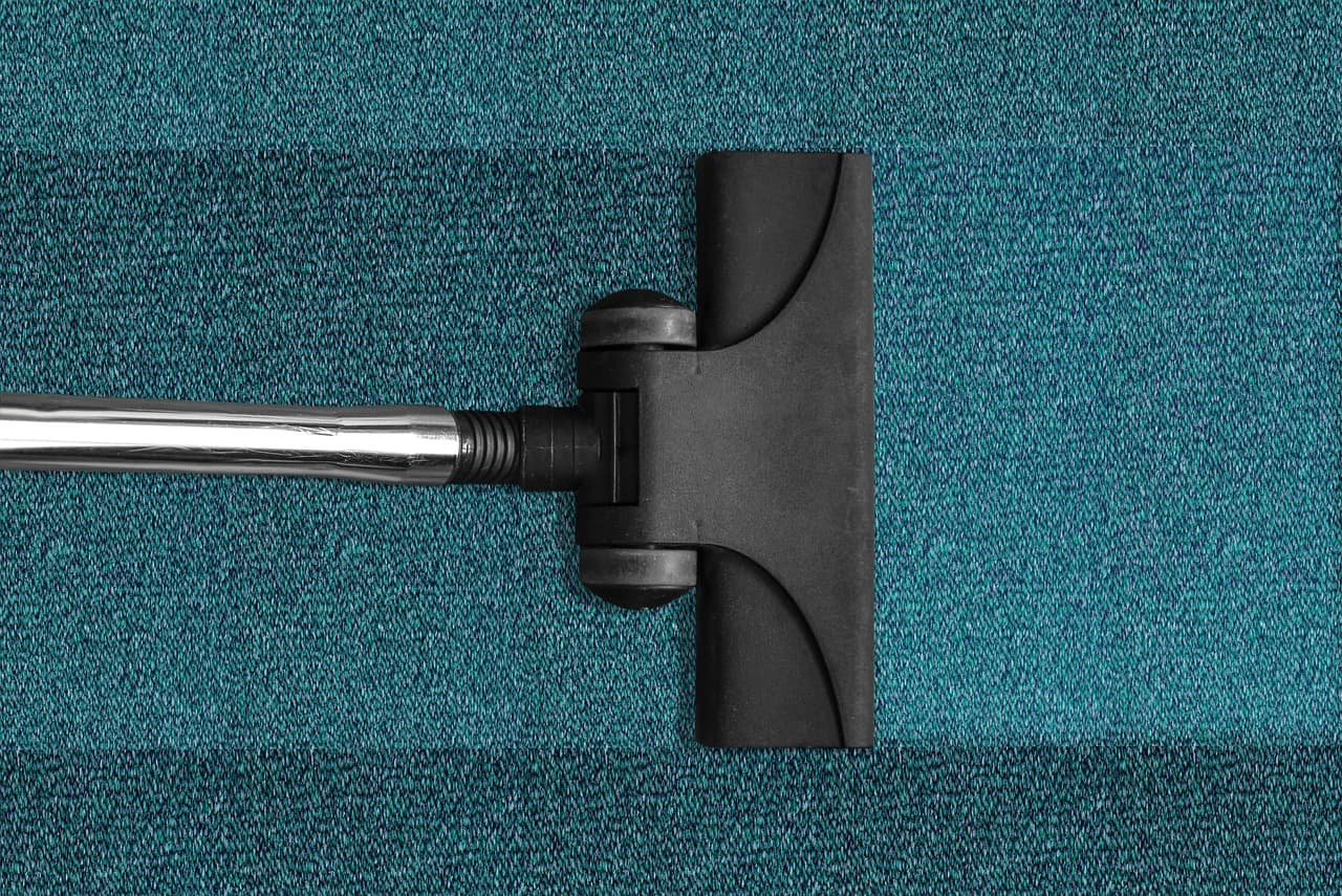 How to Choose the Best Pet-Friendly Cleaning Products