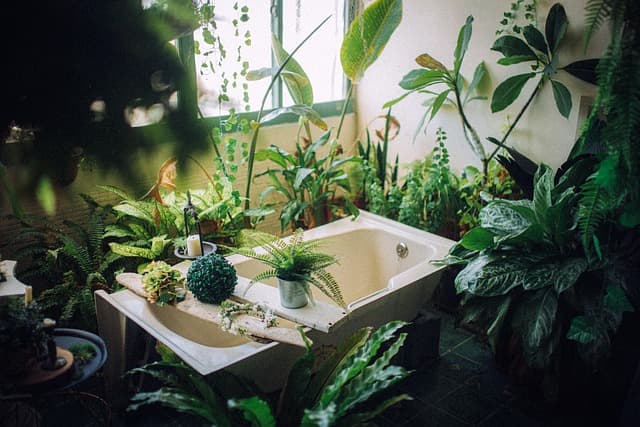 10 Tips for Creating a Safe Pet-Friendly Outdoor Space