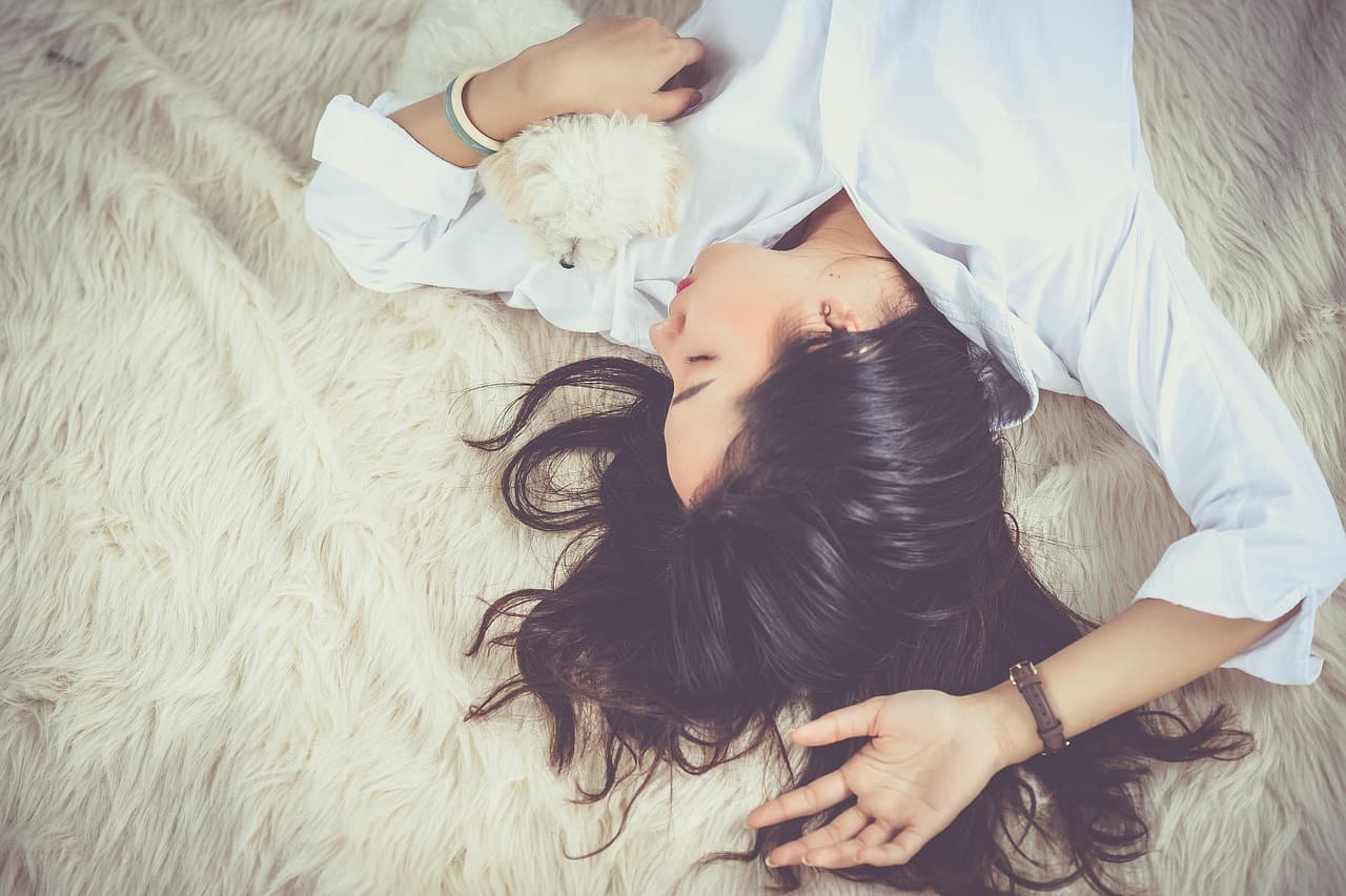 5 Essential Tips for Pet-Friendly Home Maintenance