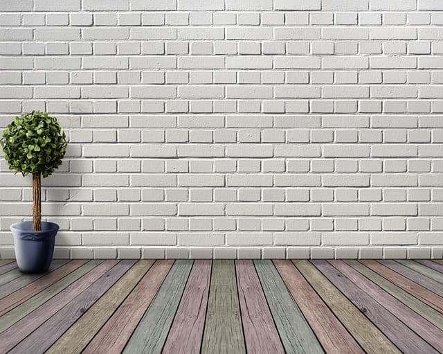 How to Choose the Best Pet-Friendly Plants for Your Home