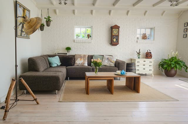 10 Essential Tips for Creating a Pet-Friendly Living Room