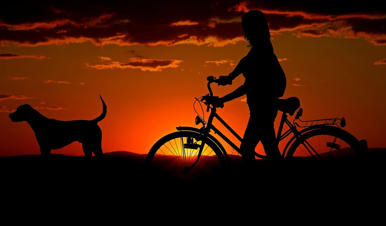 10 Essential Tips for Pet-Friendly Travel Planning